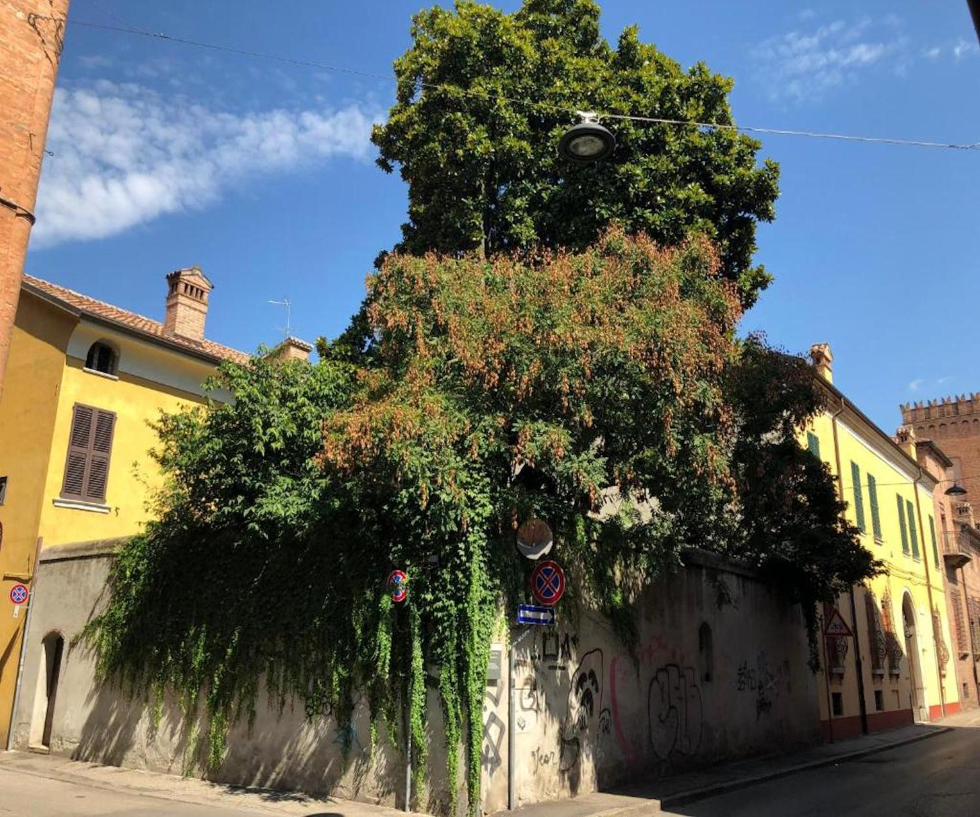 Appartamento Il Giardino Segreto Ferrara Esterno foto